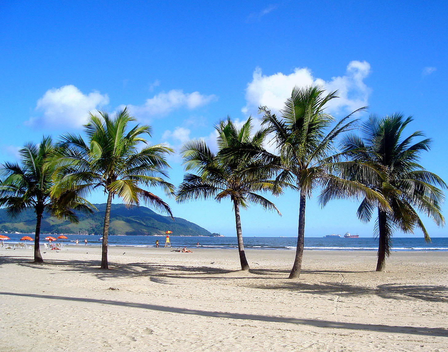 Beach and sea