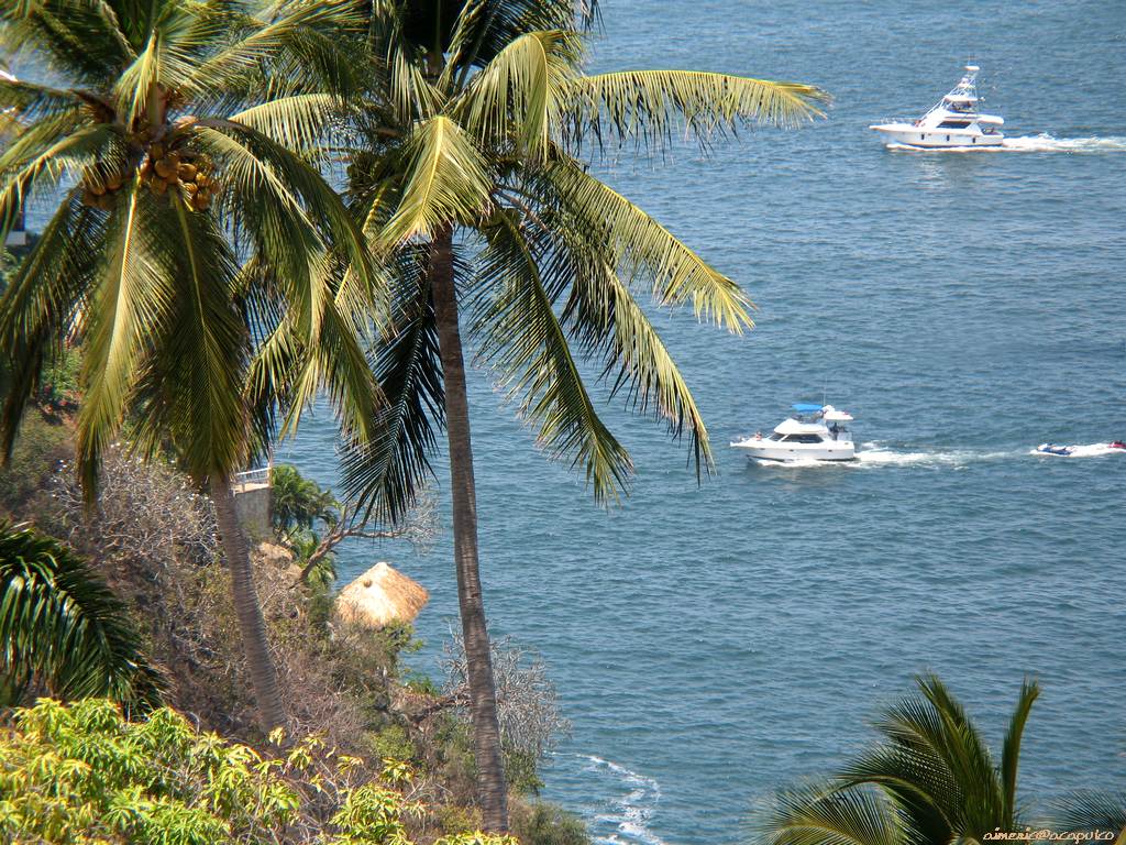 Beach and sea